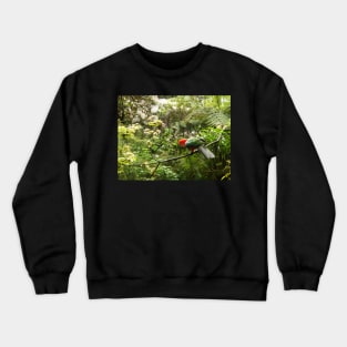 King Parrot Crewneck Sweatshirt